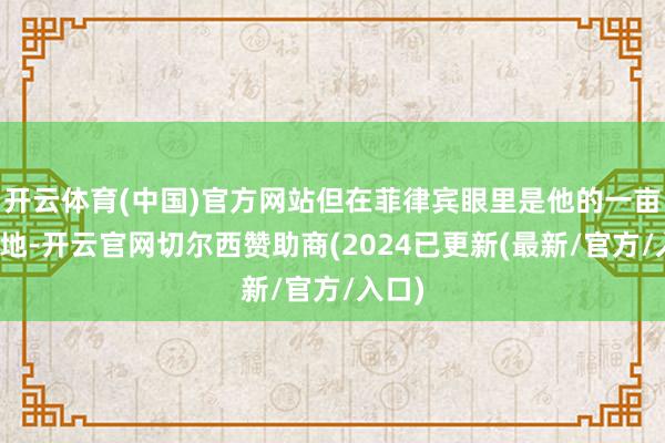 开云体育(中国)官方网站但在菲律宾眼里是他的一亩三分地-开云官网切尔西赞助商(2024已更新(最新/官方/入口)